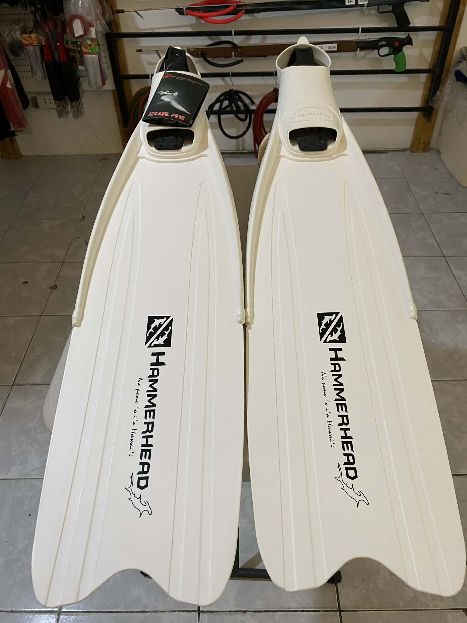 HAMMERHEAD WHITE KAUDAL FINS